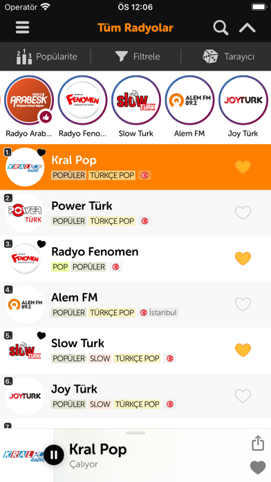 Radyo Kedisi - Radyo Dinle Resimleri