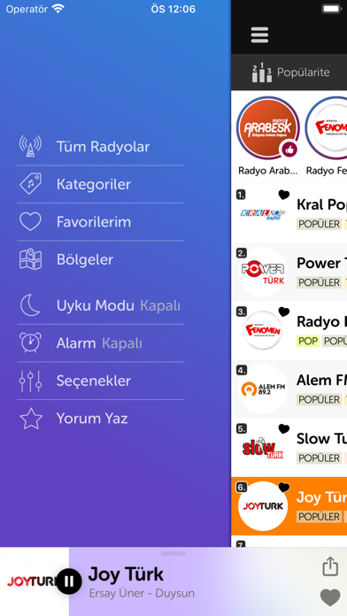 Radyo Kedisi - Radyo Dinle Resimleri
