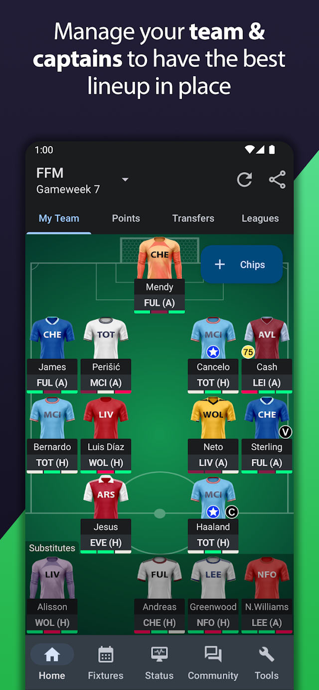 Fantasy Football Manager (FPL) Resimleri
