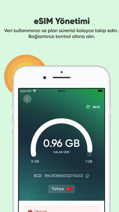 Roafly: eSIM Seyahat İnternet Resimleri