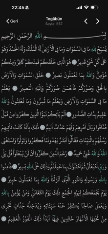 Kur’an-ı Kerim Resimleri