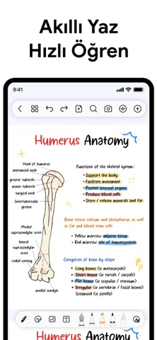 Freenotes®: AI Notlar ve PDF Resimleri