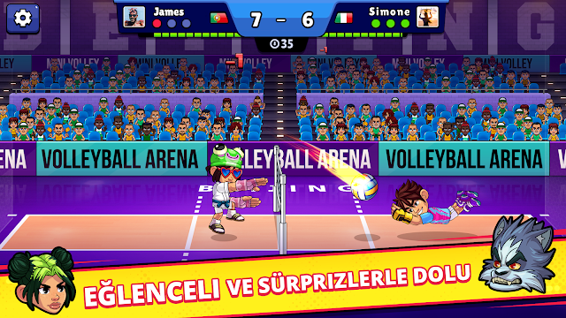 Volleyball Arena Resimleri