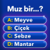 Milyoner - T&uuml;rk&ccedil;e Test Oyunu