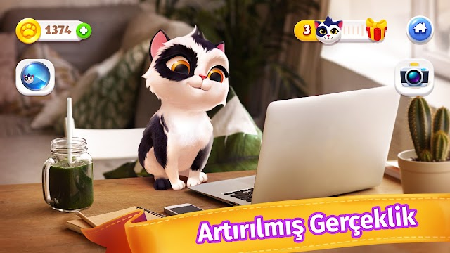 My Cat - Kedi oyunu Tamagotchi Resimleri
