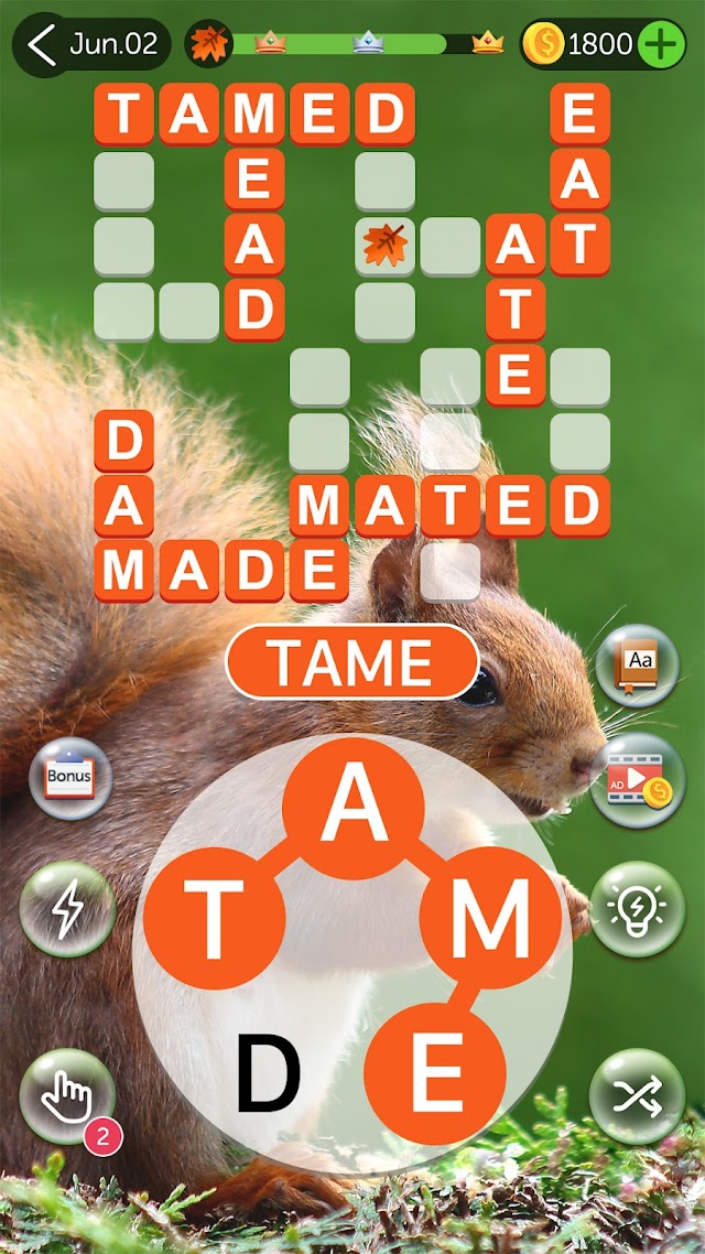Crossword Quest Resimleri