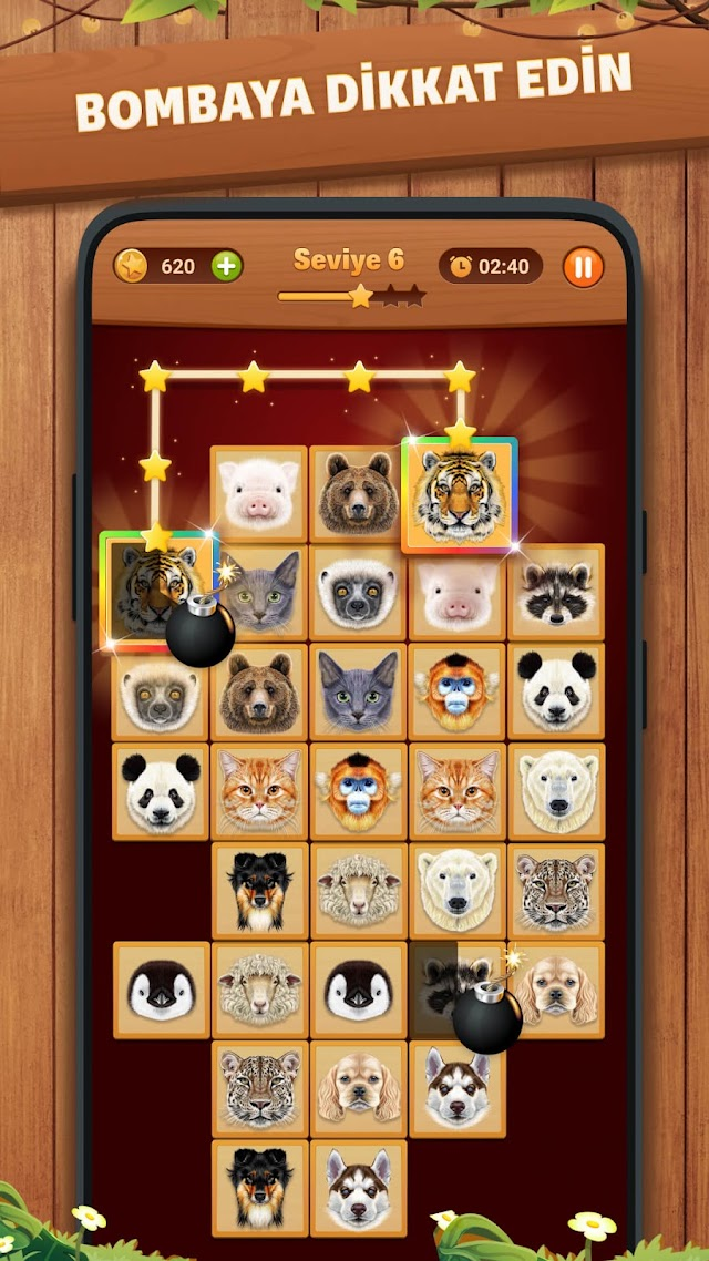 Onet Puzzle – Karo Eşleştirme Resimleri