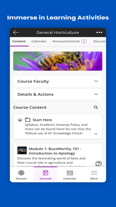 Blackboard Learn Resimleri