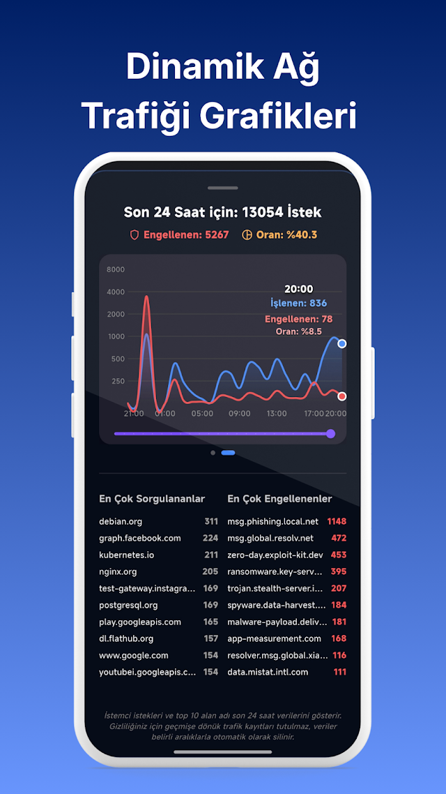 GateDNS: �zel DNS ve G�venlik Resimleri