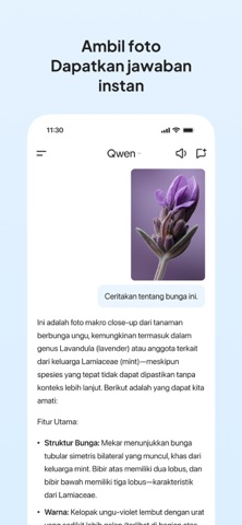 Qwen - Asisten AI Alibaba Resimleri