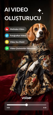 AI Video Generator: Voiser AI Resimleri