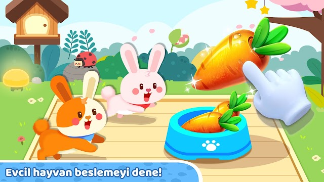 Baby Panda's Town: Ev Resimleri