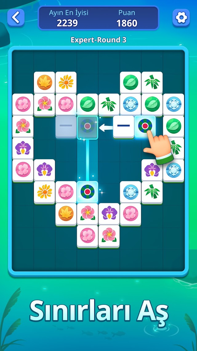 Mahjong Slide: Zen Resimleri