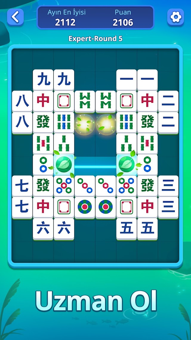 Mahjong Slide: Zen Resimleri