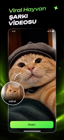 ClawDance: AI Video Generator Resimleri