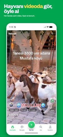 Haysat Resimleri