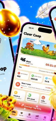 Chicken Clear Coop Resimleri