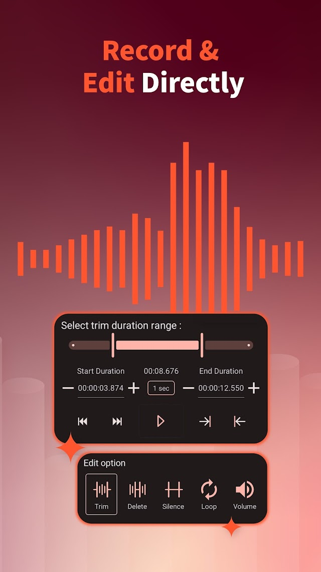 AudioLab Ses Kesici & Editör Resimleri