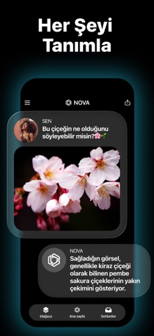 AI Chatbot - Nova Resimleri