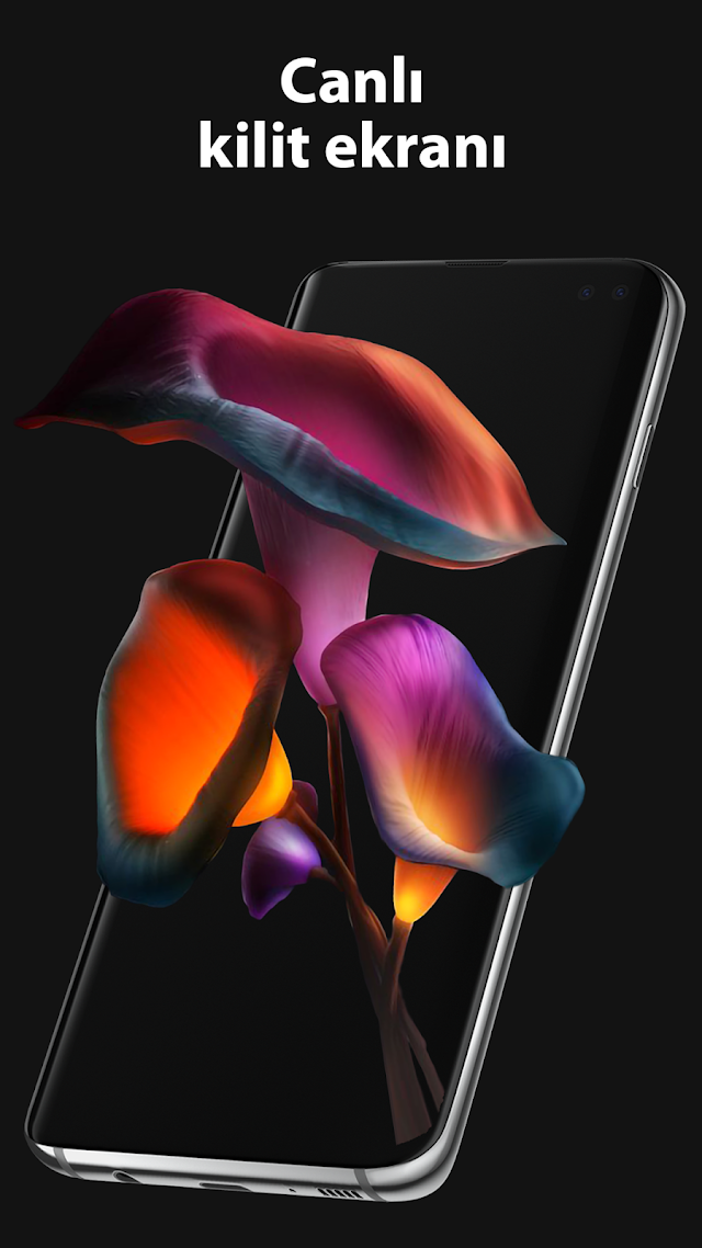 Pixel 4D Canlı Duvar Kağıtları Resimleri