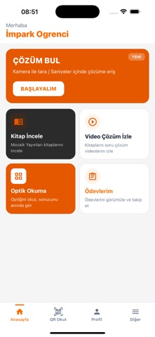 Mozaik Dijital Resimleri