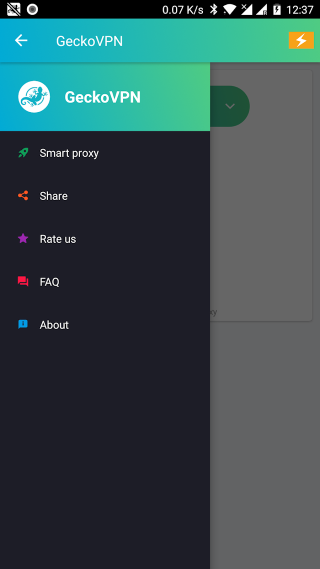 GeckoVPN Unlimited Proxy VPN Resimleri