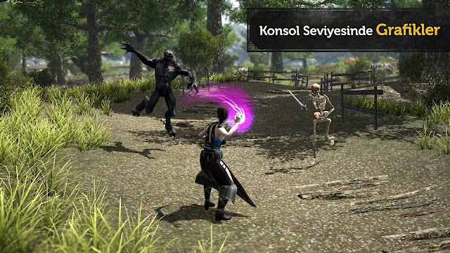 Evil Lands: MMO RPG Oyunu Resimleri