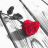Photo Art - Color Effects