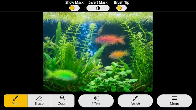 Photo Art - Color Effects Resimleri