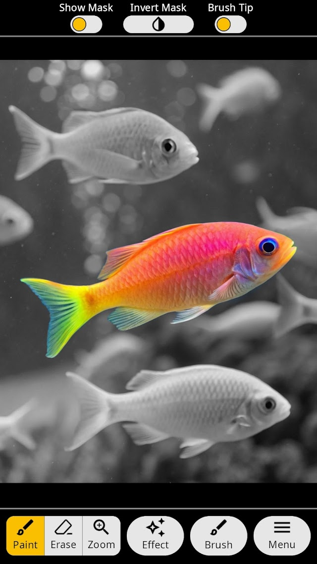 Photo Art - Color Effects Resimleri