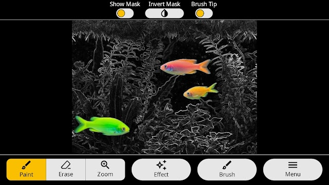 Photo Art - Color Effects Resimleri