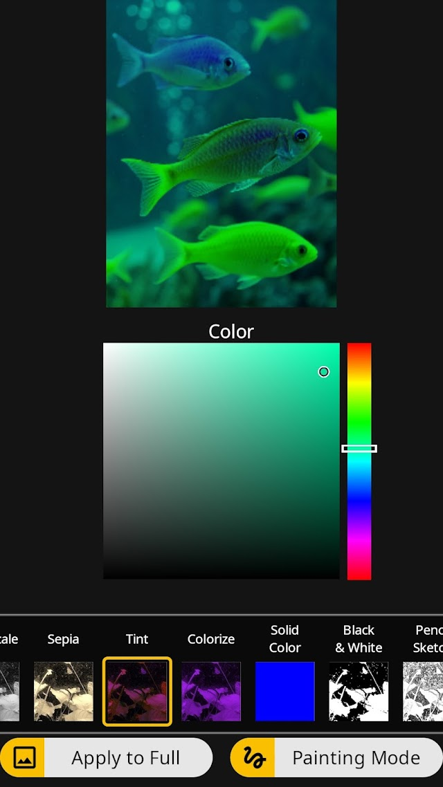 Photo Art - Color Effects Resimleri