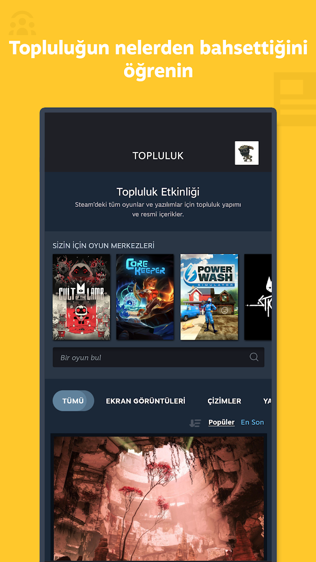 Steam Resimleri