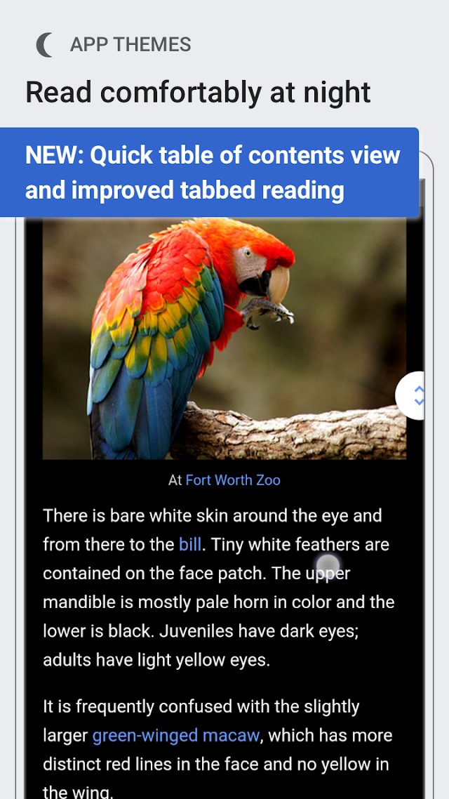 Wikipedia Beta Resimleri