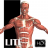 Visual Anatomy Lite