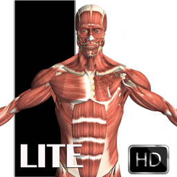 Android Visual Anatomy Lite ikonu