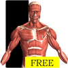 Android Visual Anatomy Free Resim