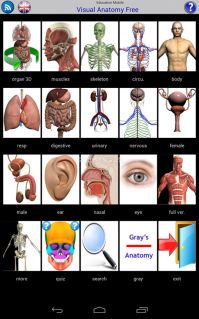 Visual Anatomy Free Resimleri