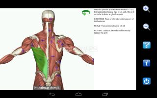 Visual Anatomy Free Resimleri