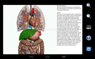 Visual Anatomy Free Resimleri