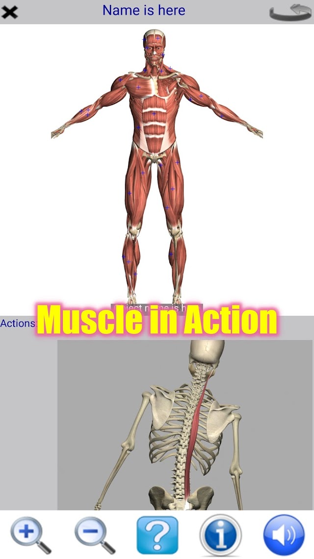 Visual Anatomy Lite Resimleri