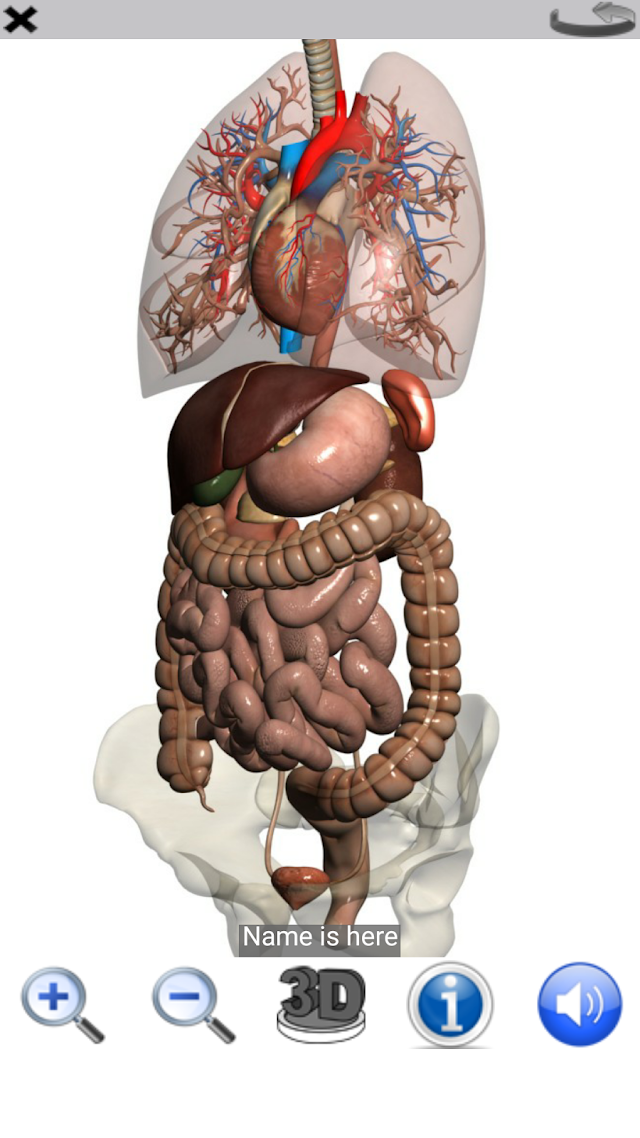 Visual Anatomy Lite Resimleri