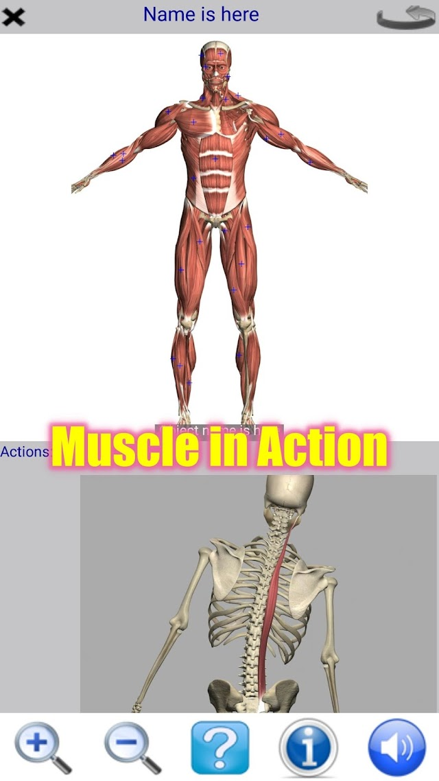 Visual Anatomy Lite Resimleri