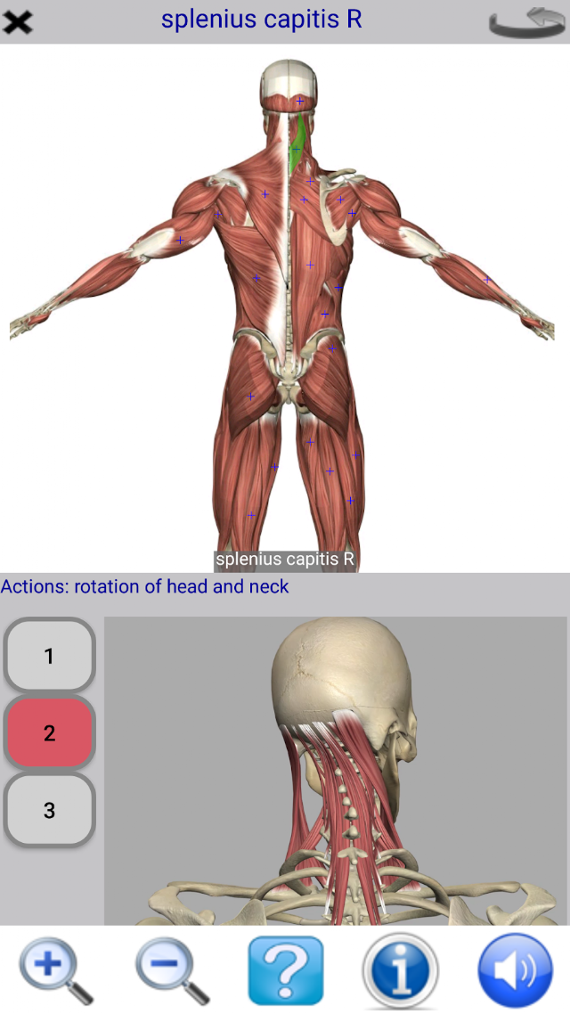 Visual Anatomy Lite Resimleri