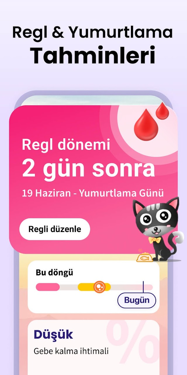 Adet Takibi - Regl Takvimi Resimleri