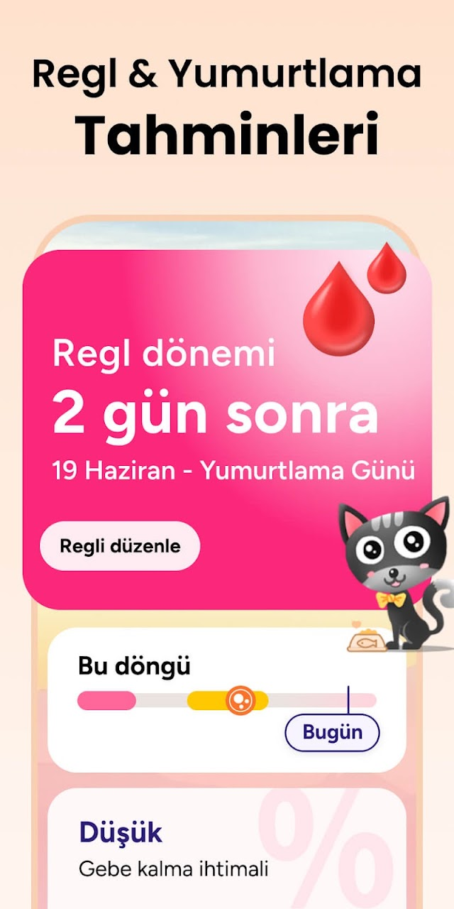 Adet Takibi - Regl Takvimi Resimleri
