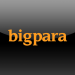 Bigpara Mobil iOS