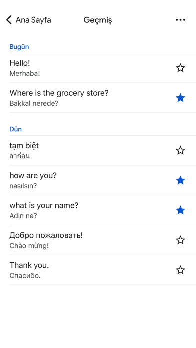 Google Çeviri Resimleri