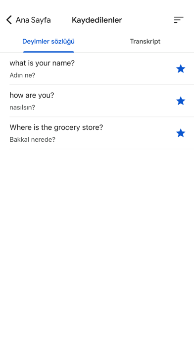 Google Çeviri Resimleri