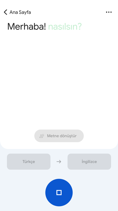 Google Çeviri Resimleri